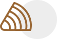 curved wood grain texture icon for beam design